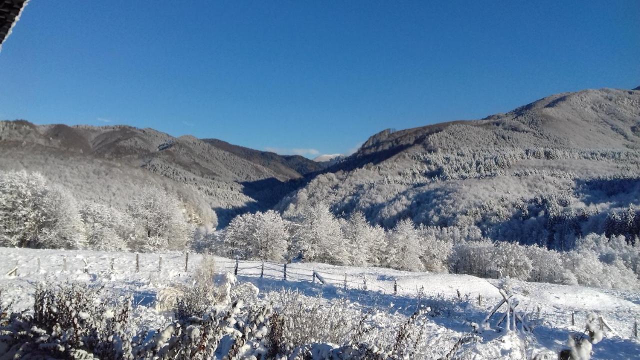 فندق Valea Doamnei Nucşoara المظهر الخارجي الصورة